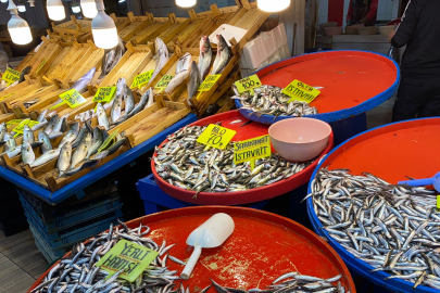 Ali Çakıroğlu: Bandırma'da Balık Fiyatları Düşüyor!