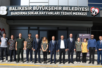 Bandırmada Sokak Hayvanları İçin Modern Tedavi Merkezi