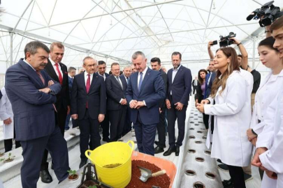 Kocaeli'nde öğrenciler  Ar-Ge serasında çilek yetiştiriyor