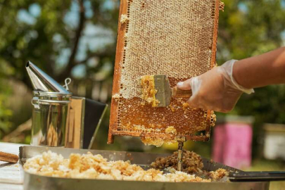 Balın Sağlığa Faydaları ve Dikkat Edilmesi Gerekenler