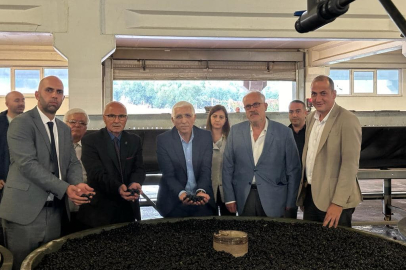 Zeytin Sektöründe Büyük Hareketlilik: Marmarabirlik'ten 137 Milyon TL