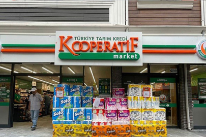 Tarım Kredi'nin Zeytin Alım Fiyatları Üreticiyi Memnun Etmedi