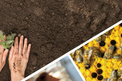 Tarımsal Destekleme Çiftçilere 168 Milyon TL'lik Büyük Destek