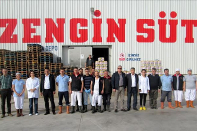 Zengin Süt: Bandırma'nın Doğal Peynir Mirası