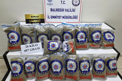 Edremitte Büyük Uyuşturucu Operasyonu 20 Kg Bonzai Ele Geçirildi