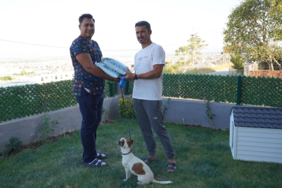 Vatandaşlardan, sahiplendirme seferberliğine büyük destek