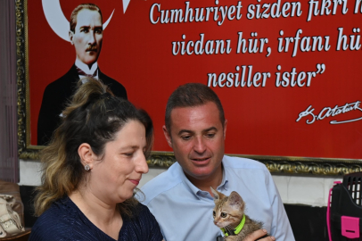 BBB İyilik Hareketi: Yavru Kedi Biber Sahibiyle Buluştu