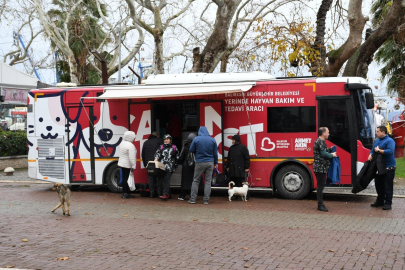 Sokak Hayvanlarına Sağlık Hizmeti: "Can Dost" 20 İlçede Görevde