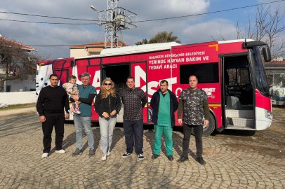 Can Dost Paşa Limanı Adası’nda 182 Sokak Hayvanına Şifa Oldu