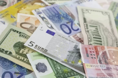 2024 yılına ilişkin esas kurlar 'Resmi'leşti