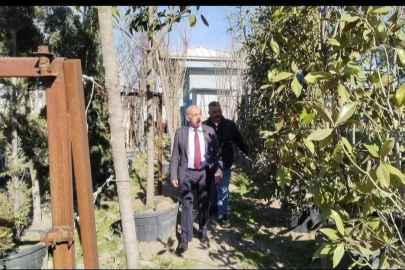 Bandırma, Yeşil Bir Geleceğe Adım Atıyor