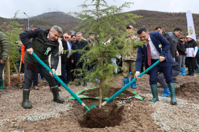 Artvin'de 21 Mart'a özel fidan dikimi