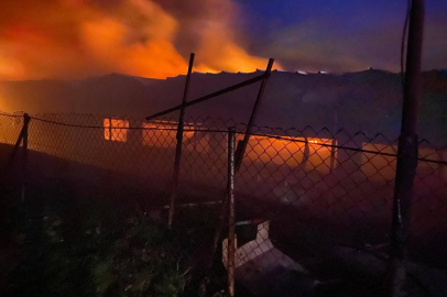 Bilecik Pazaryeri'nde tavuk çiftliğinde korkutan yangın!