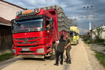 Bilecik Pazaryeri'nde orman emvali denetimi