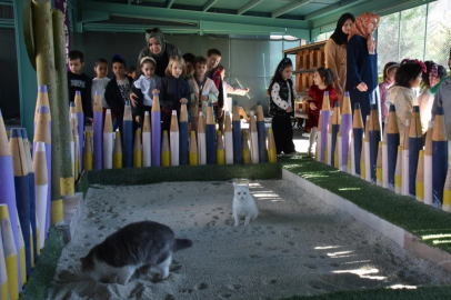 Kayseri Kocasinan'da can dostlar için özel kasaba