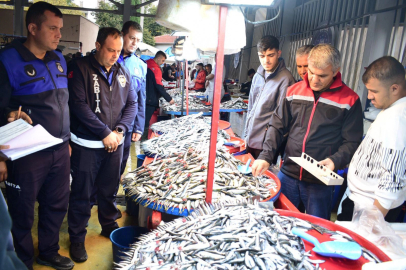 Bursa Yenişehir'de balık pazarına sıkı denetim