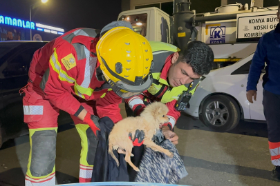 Konya'da yürek ısıtan operasyon