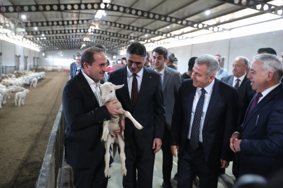 İzmir Aliağa tarımsal kalkınmada örnek oluyor