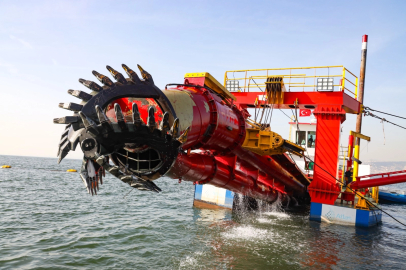 Kocaeli'de ekosistem ayağa kalkıyor... Geleceğe temiz miras bırakılacak