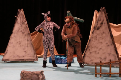 Sakarya'da 'Bir Zebra Müzikalı' seyircilerle buluştu