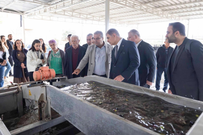 İzmir'de sezonun ilk zeytinyağı Başkan Tugay’dan