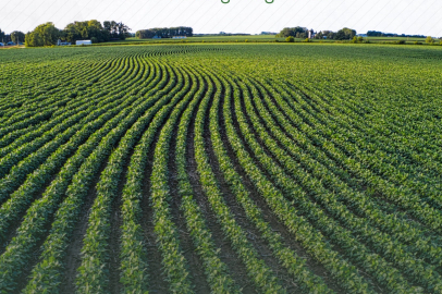 Tarım arazilerinin etkin kullanımı için hibe desteği