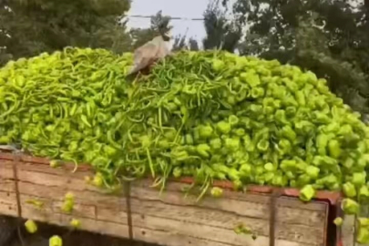 Bursa'daki “biber” görüntülerine bakanlıktan yalanlama